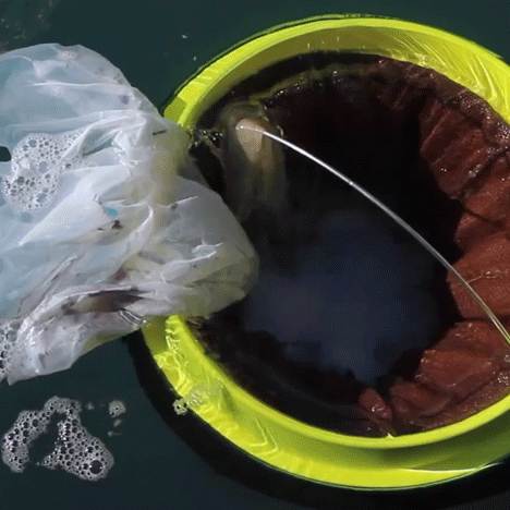 Floating Seabin cleans the ocean by sucking rubbish from the water